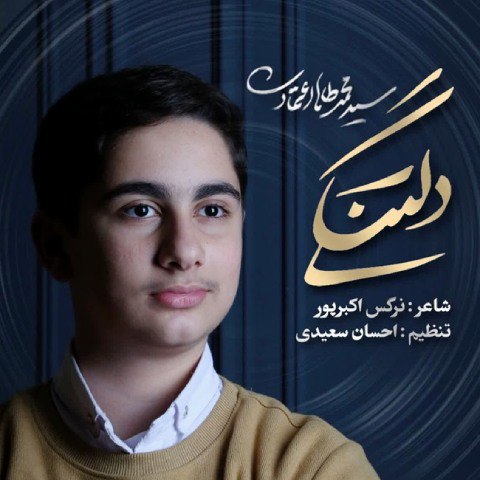 دانلود آهنگ محمدطاها اعتمادی به نام دلتنگی